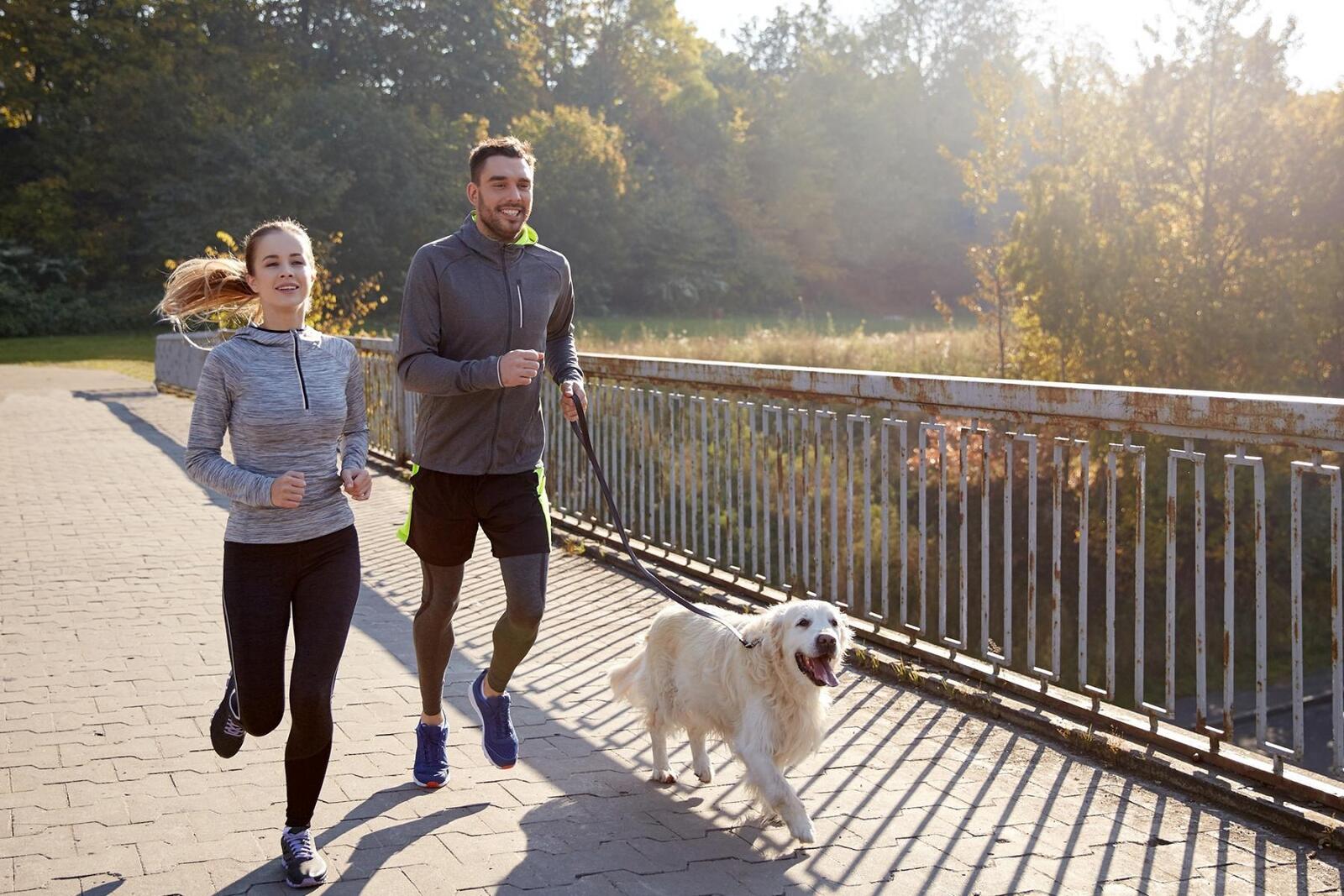 Stay Injury-Free: Hip Fitness Tips for Runners - Dash Sports